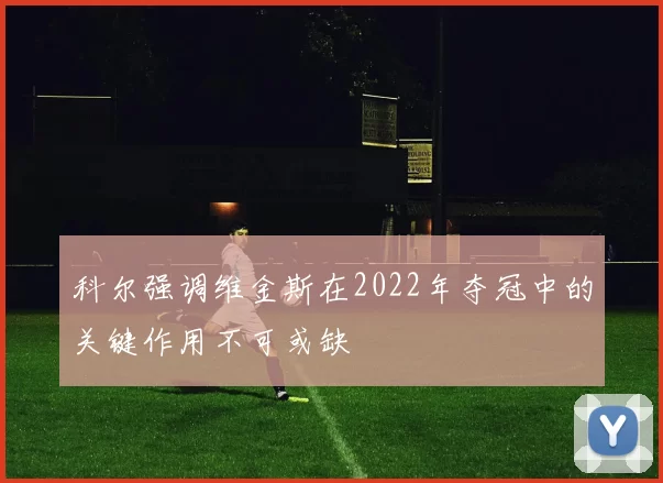 科尔强调维金斯在2022年夺冠中的关键作用不可或缺